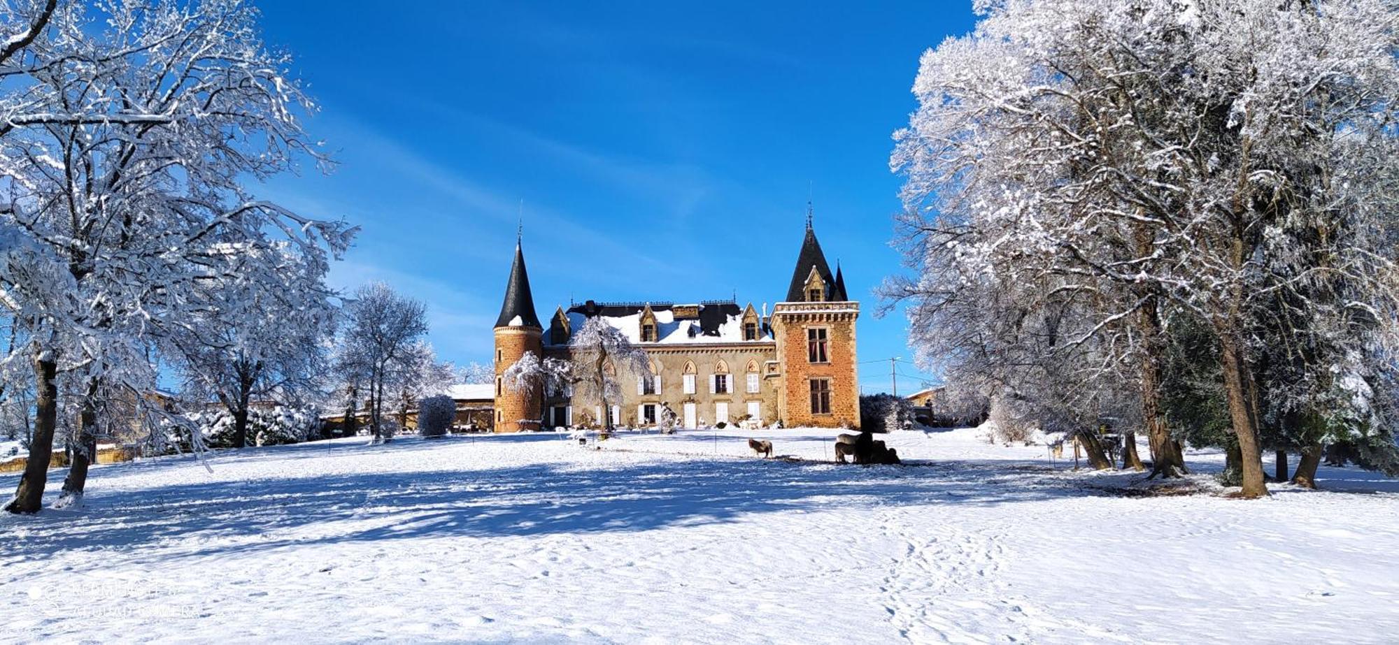 Château de la Forie Saint-Etienne-sur-Usson Exterior foto